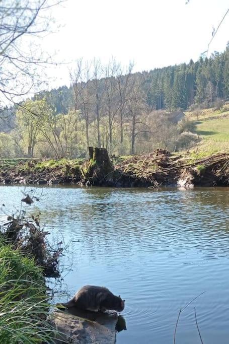 Ferienglueck Im Schwarzwald Apartment Zimmern ob Rottweil Luaran gambar