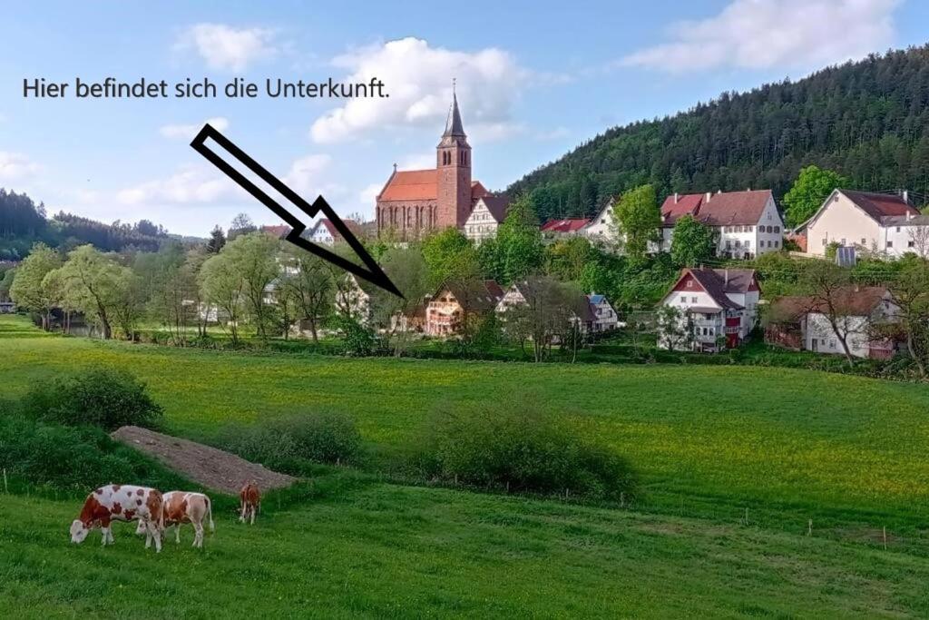 Ferienglueck Im Schwarzwald Apartment Zimmern ob Rottweil Luaran gambar